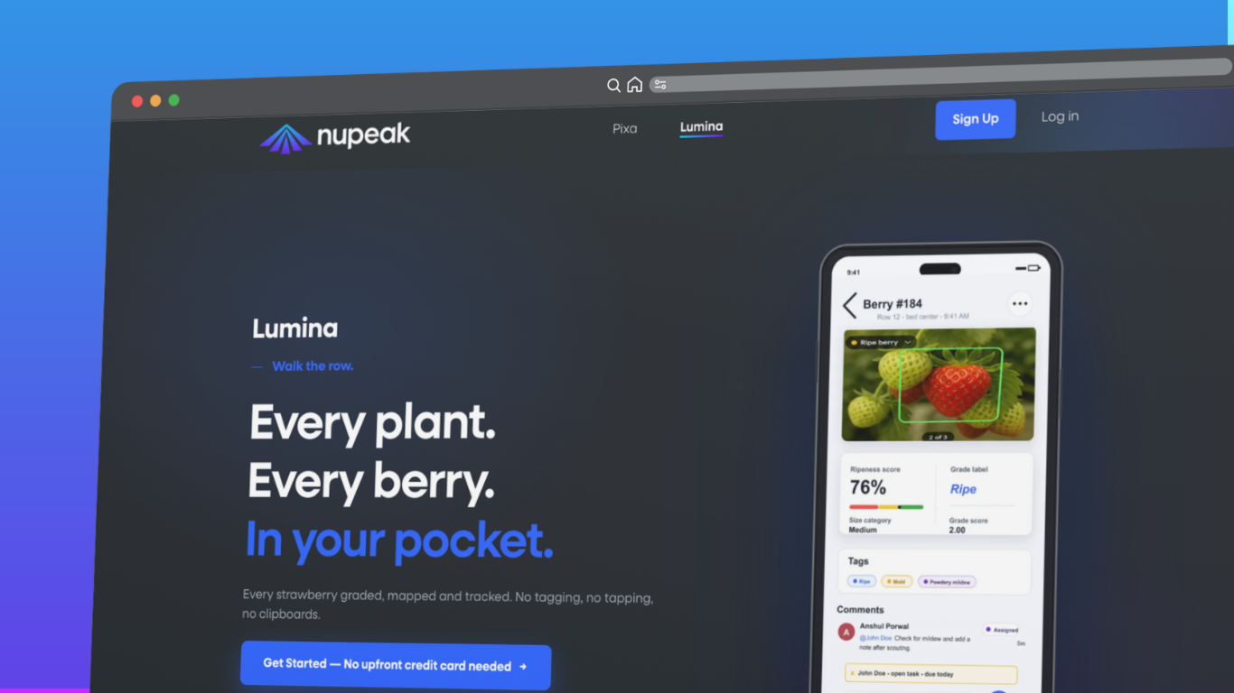 NuPeak / Lumina